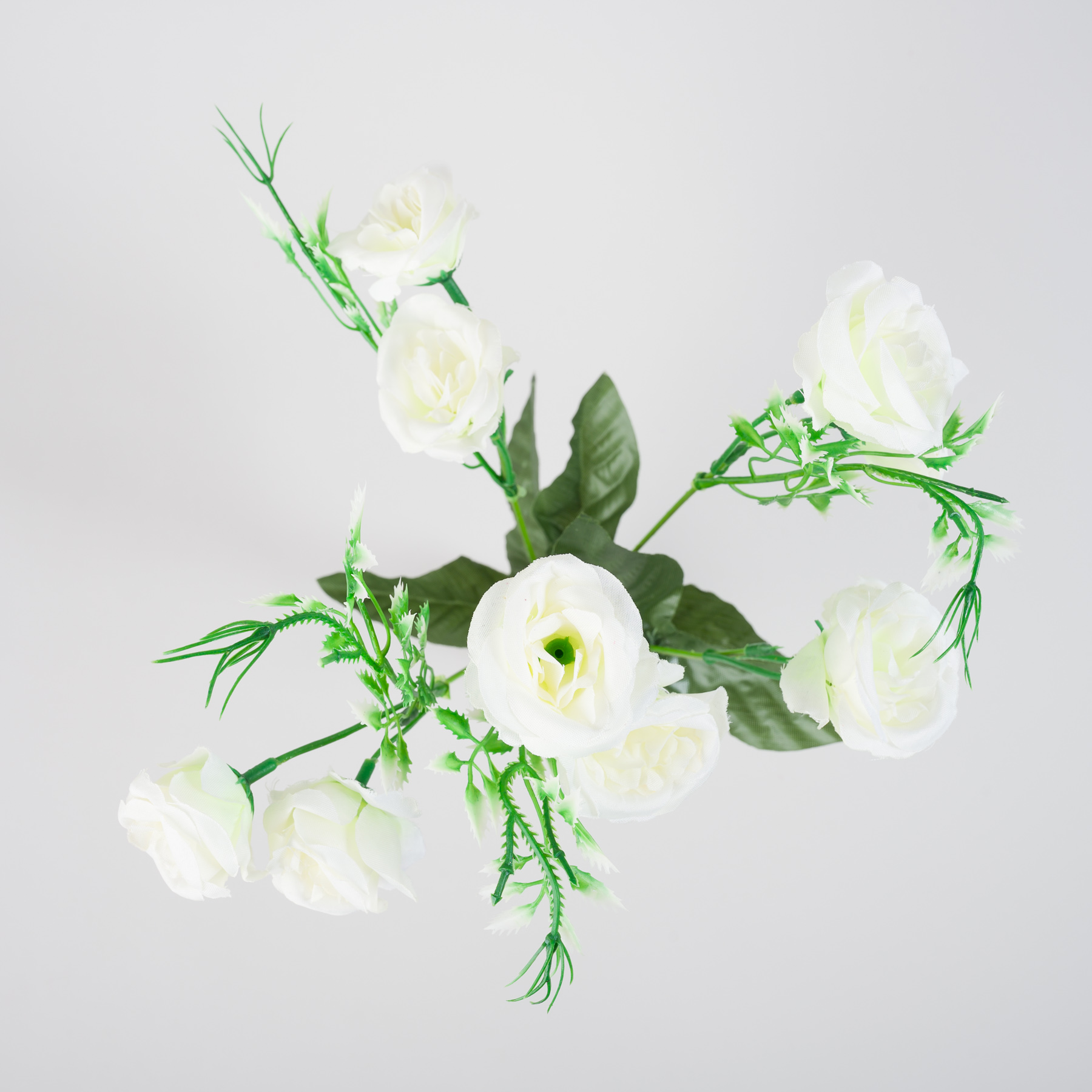 untitled-0197.jpg