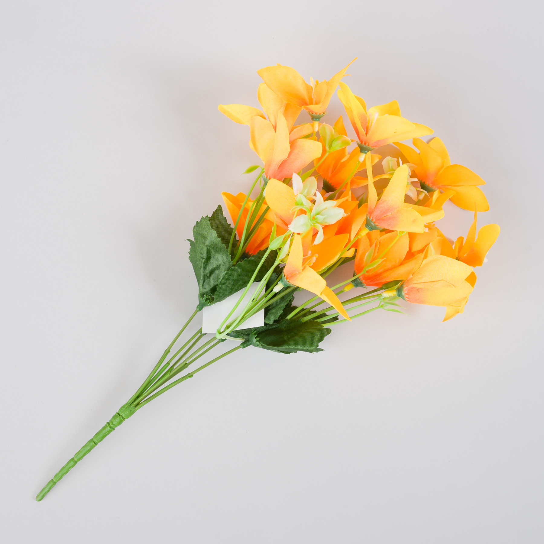 untitled-0002.jpg
