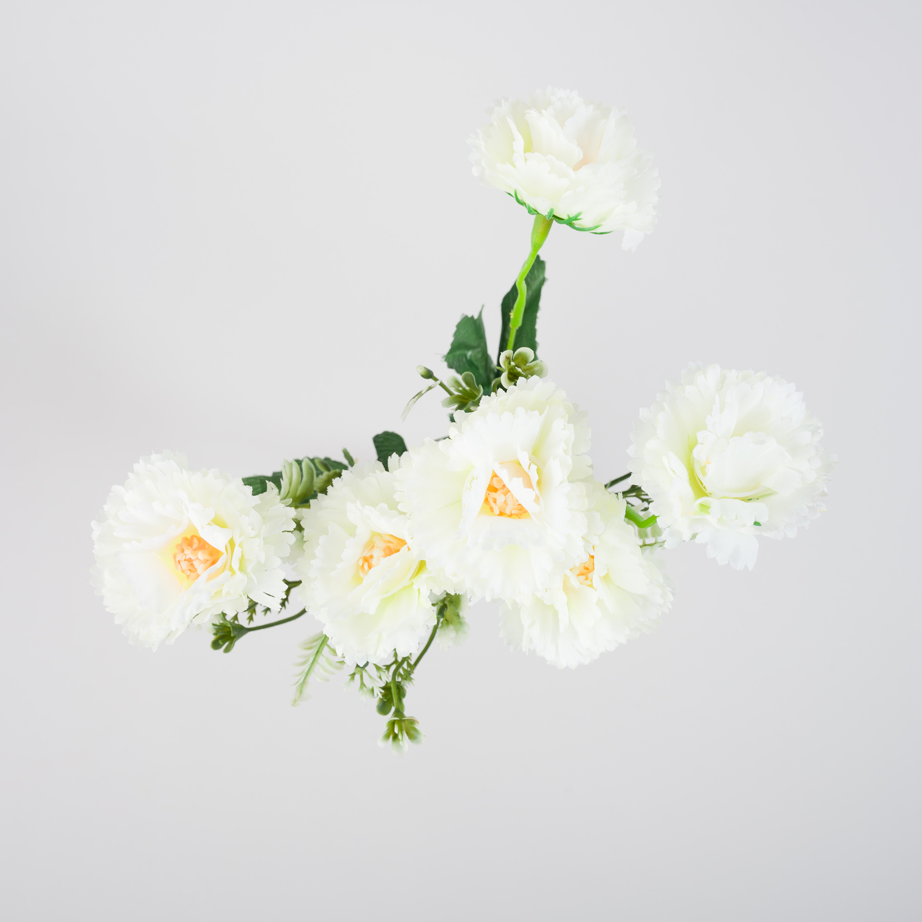 untitled-0203.jpg
