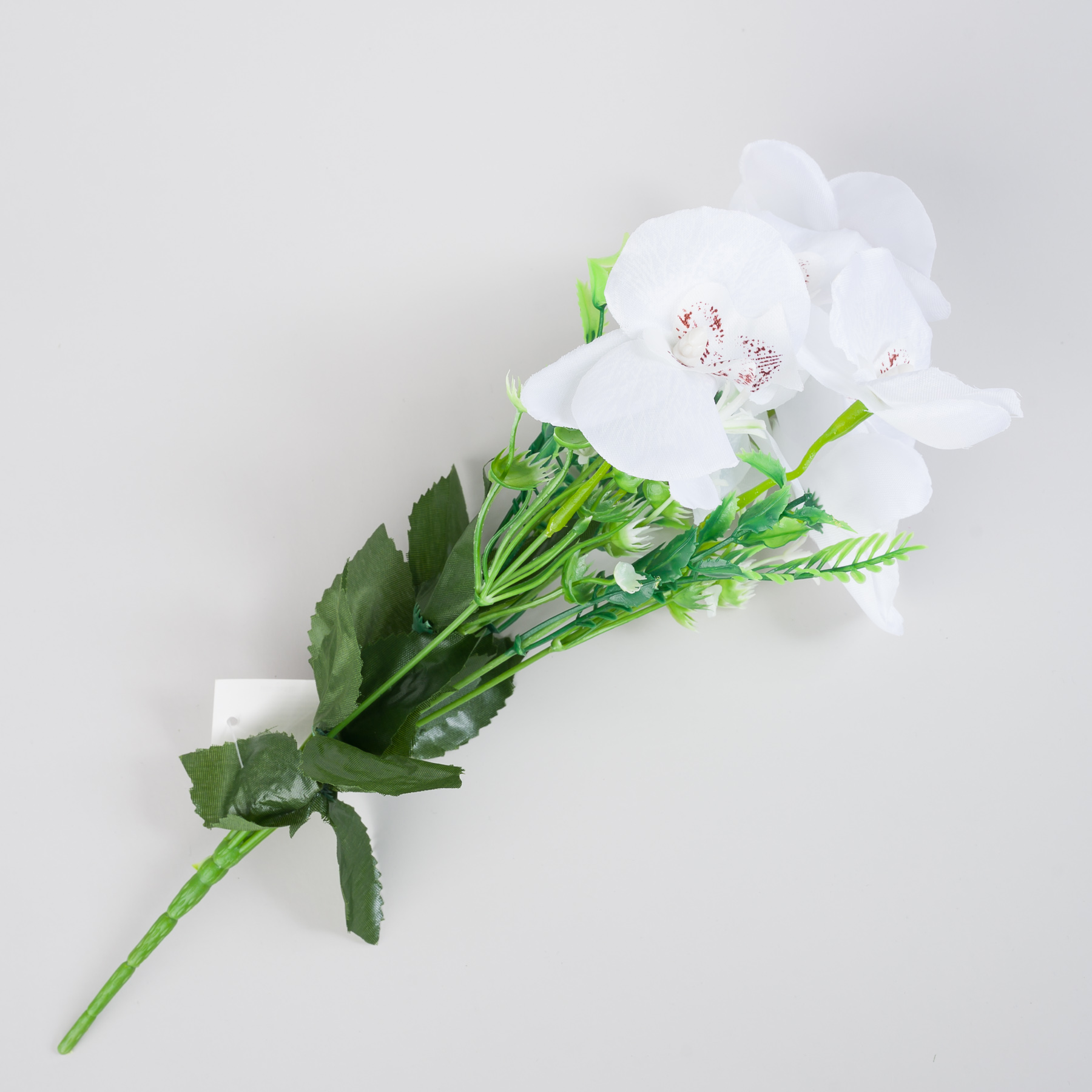 untitled-0028.jpg