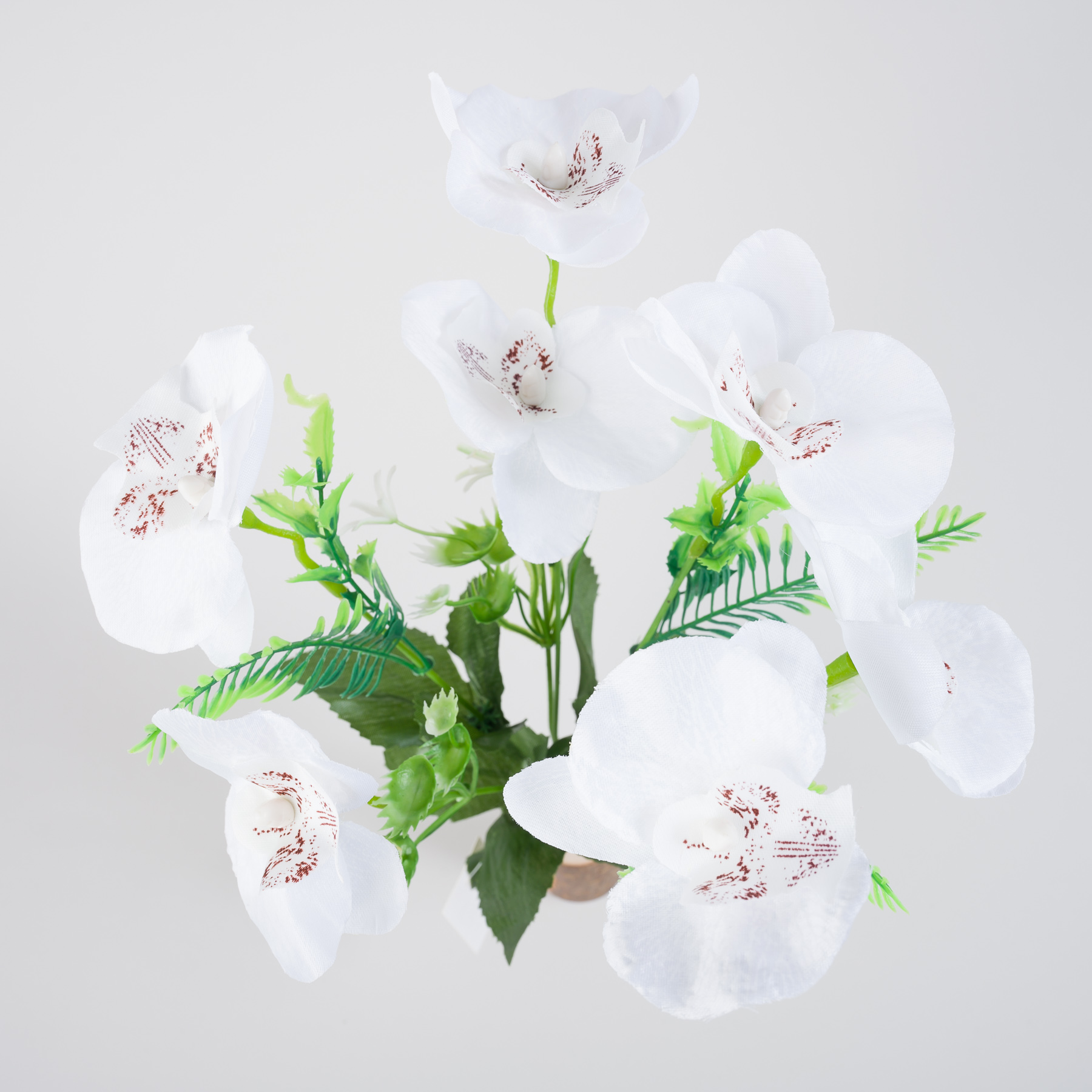 Kytica ORCHIDEÍ - biela