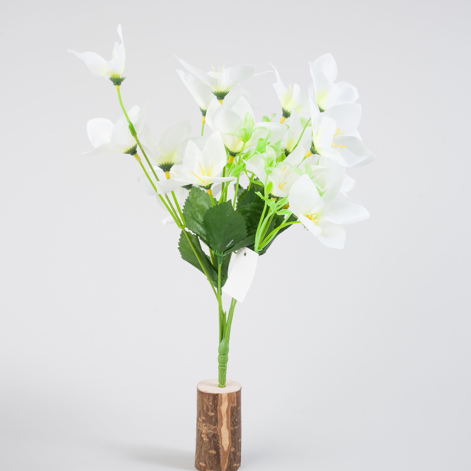 untitled-0010.jpg