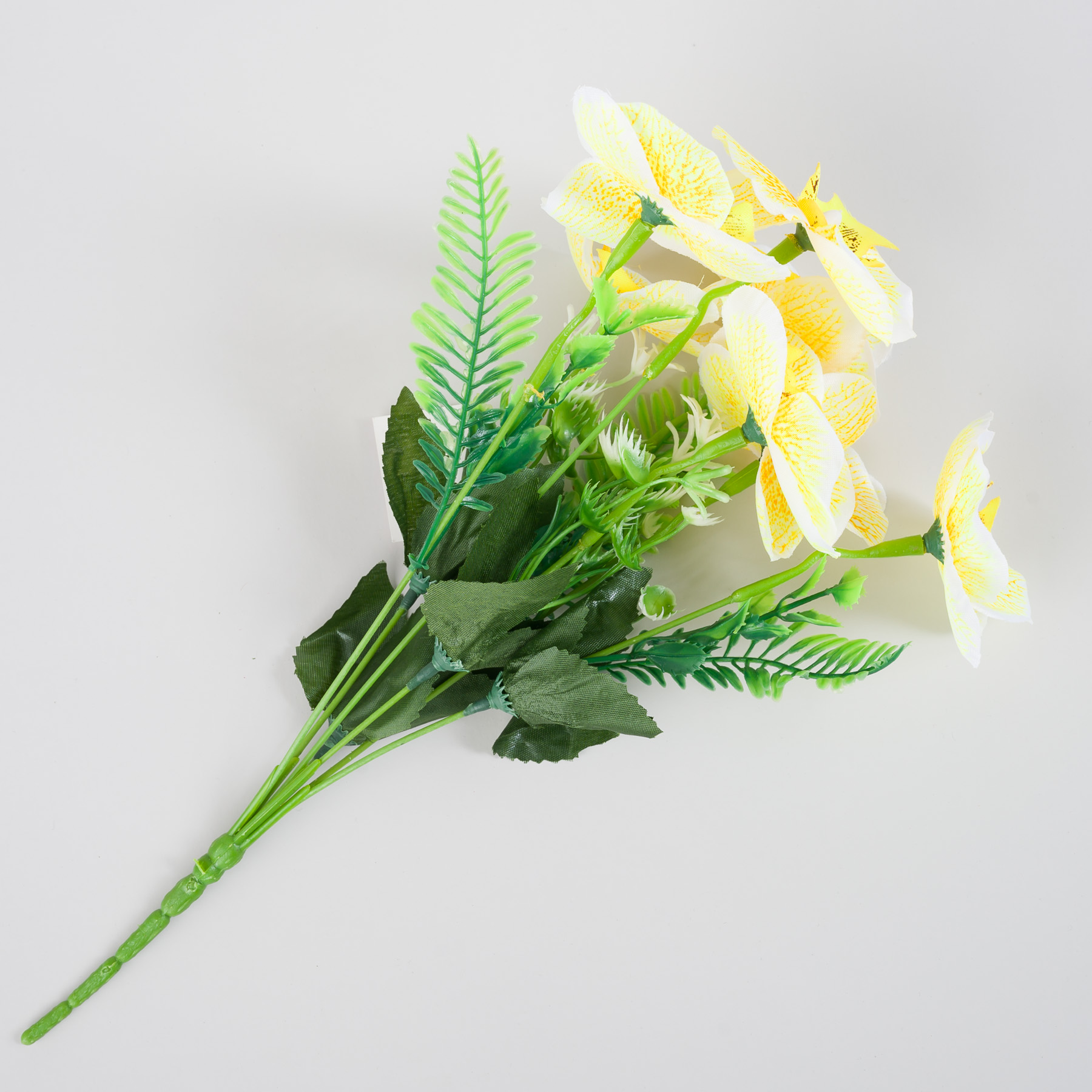 untitled-0037.jpg