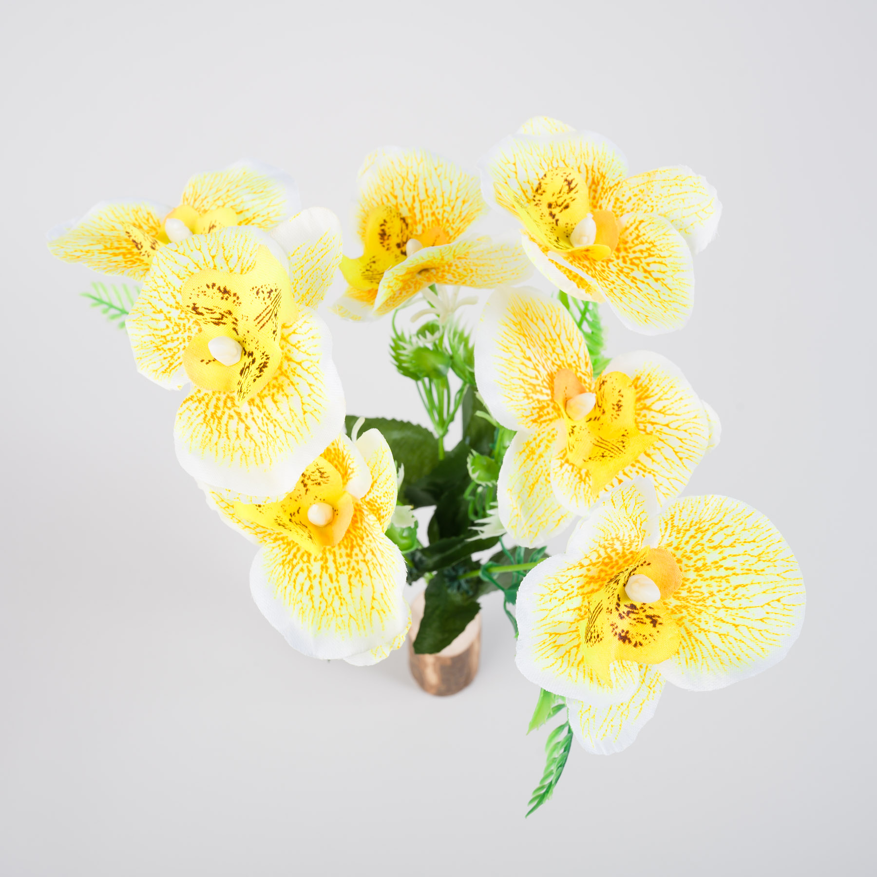 Kytica ORCHIDEÍ - žltá