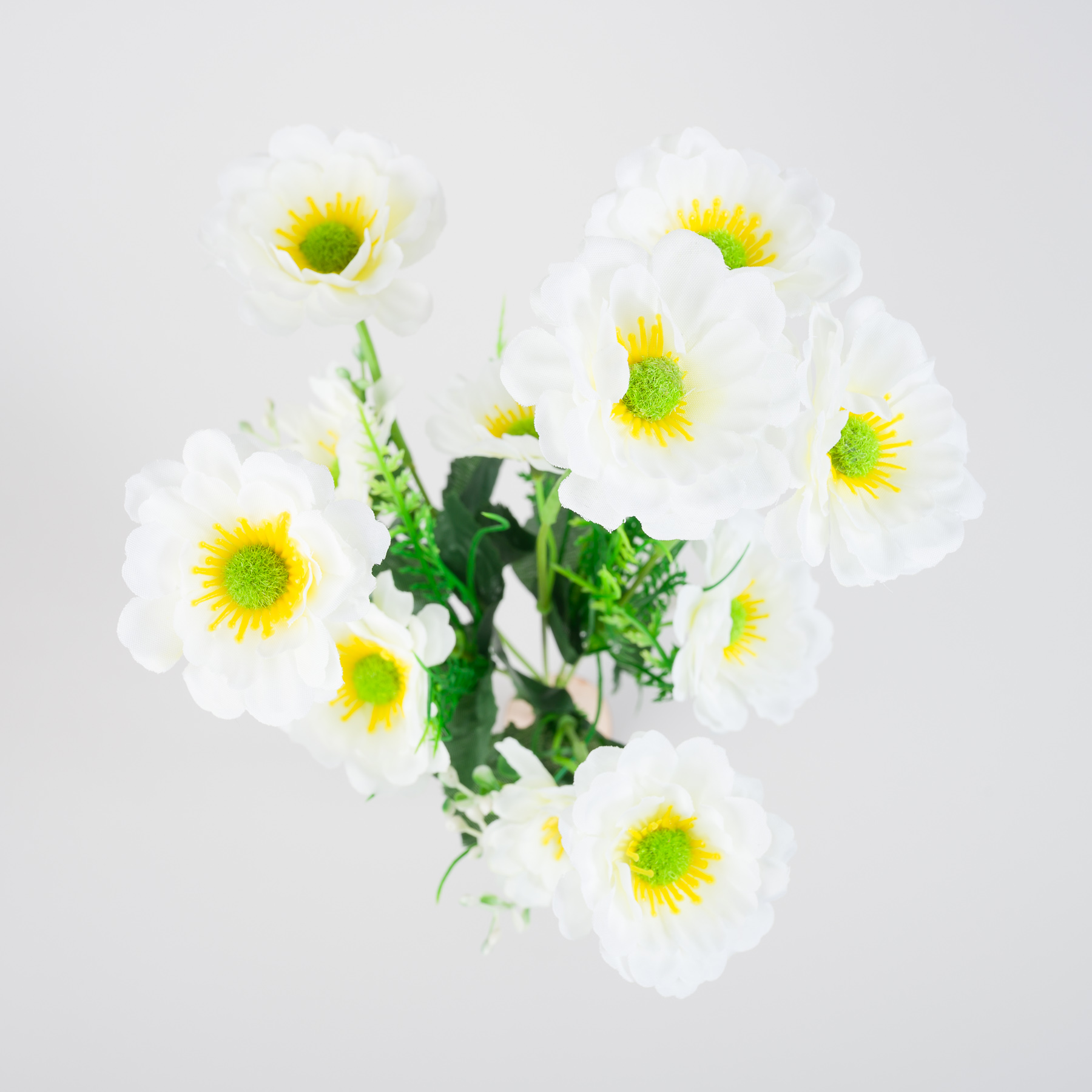 Kytica GERBERY - biela