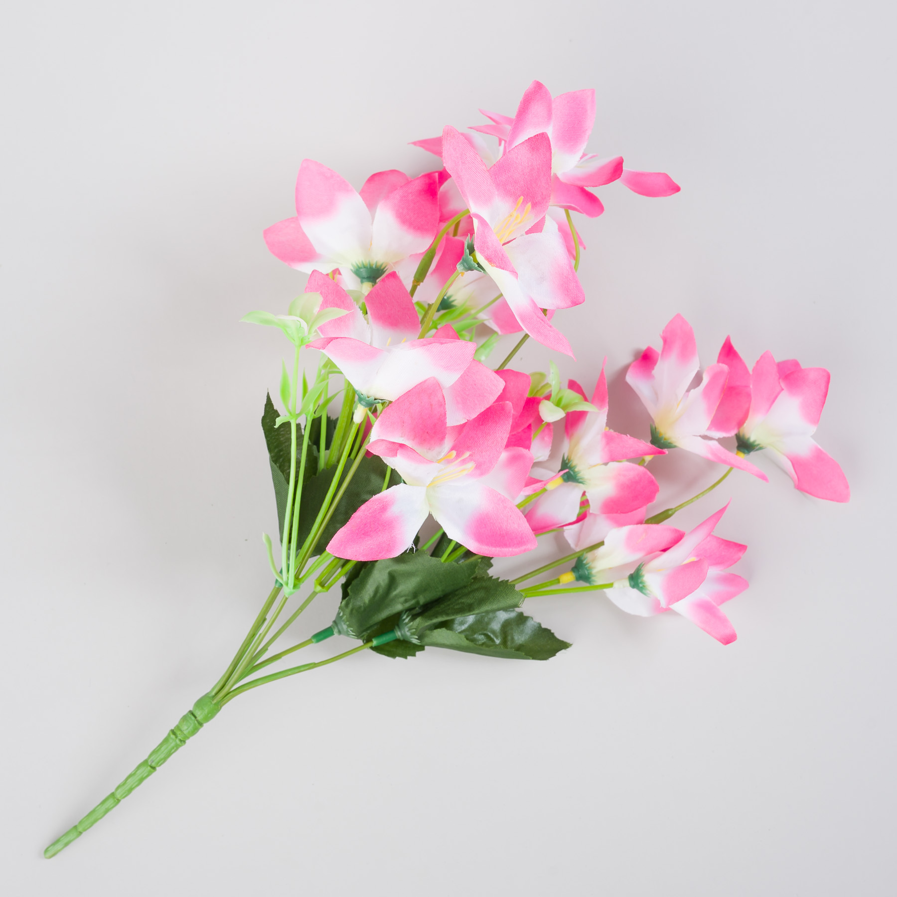 untitled-0015.jpg