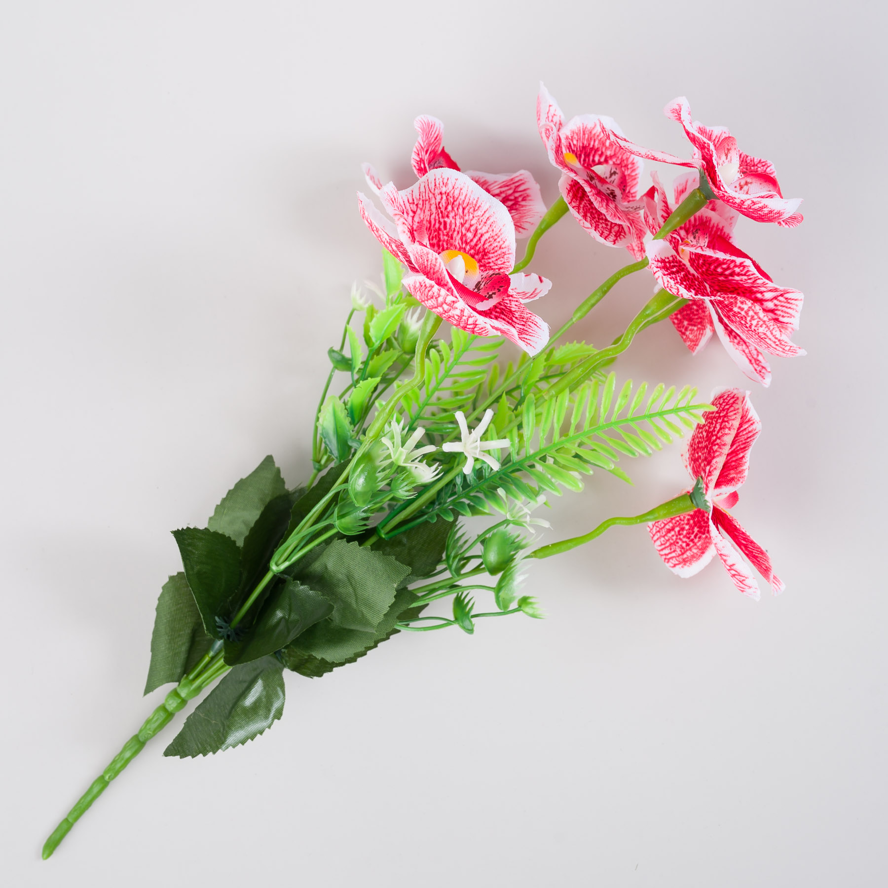 untitled-0031.jpg