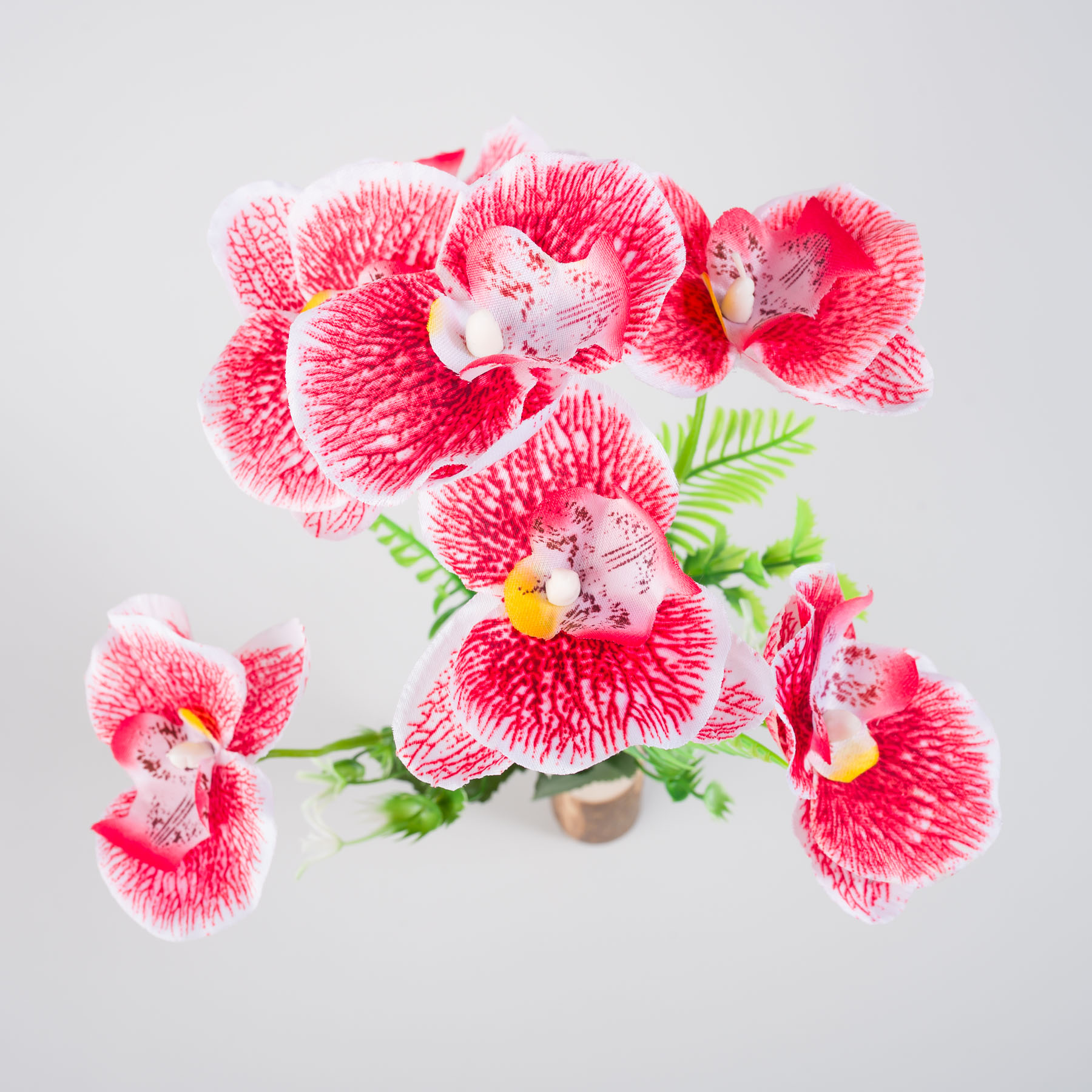 Kytica ORCHIDEÍ - červená