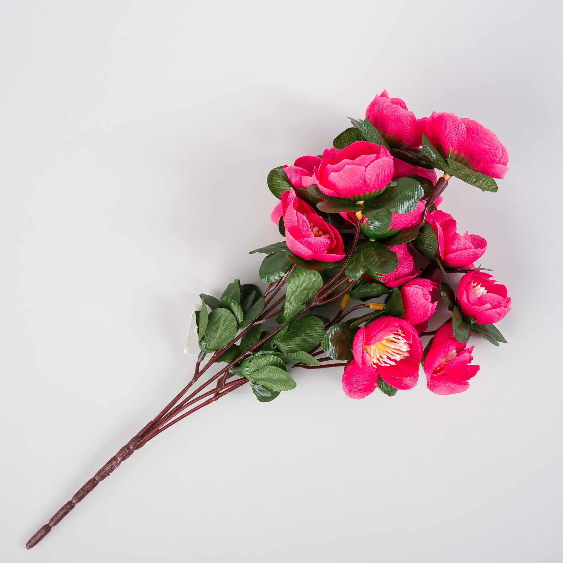 untitled-0129.jpg