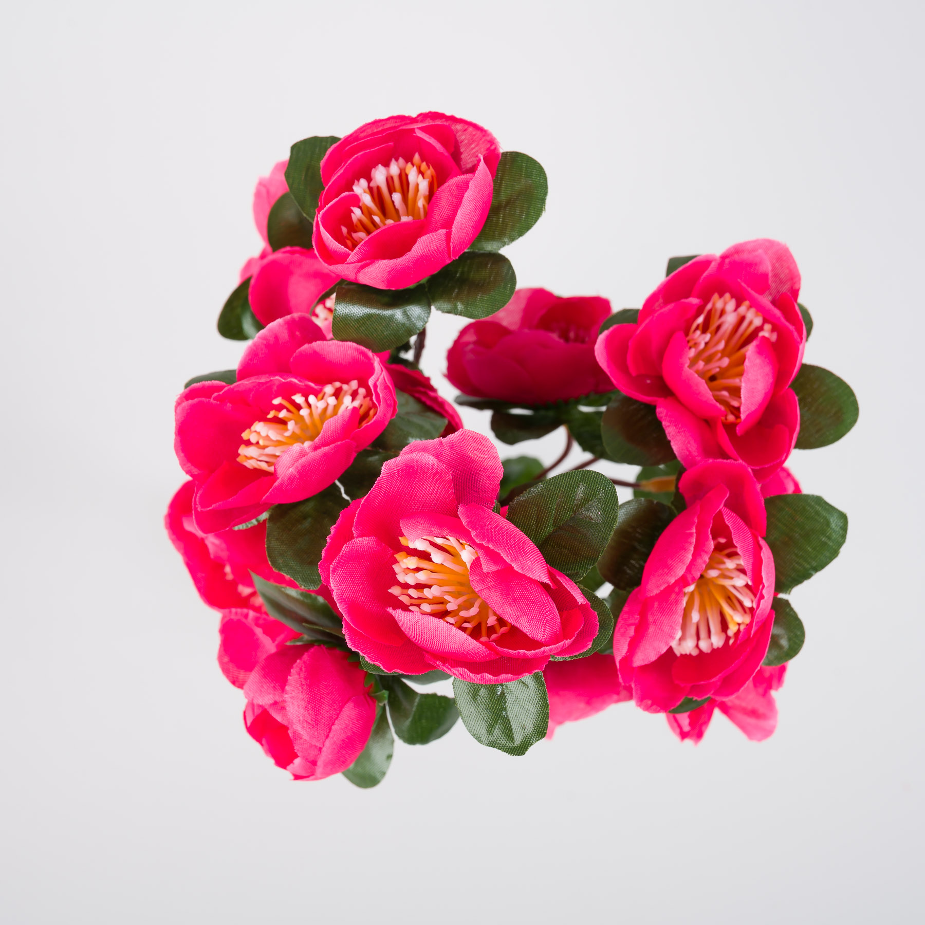 untitled-0131.jpg