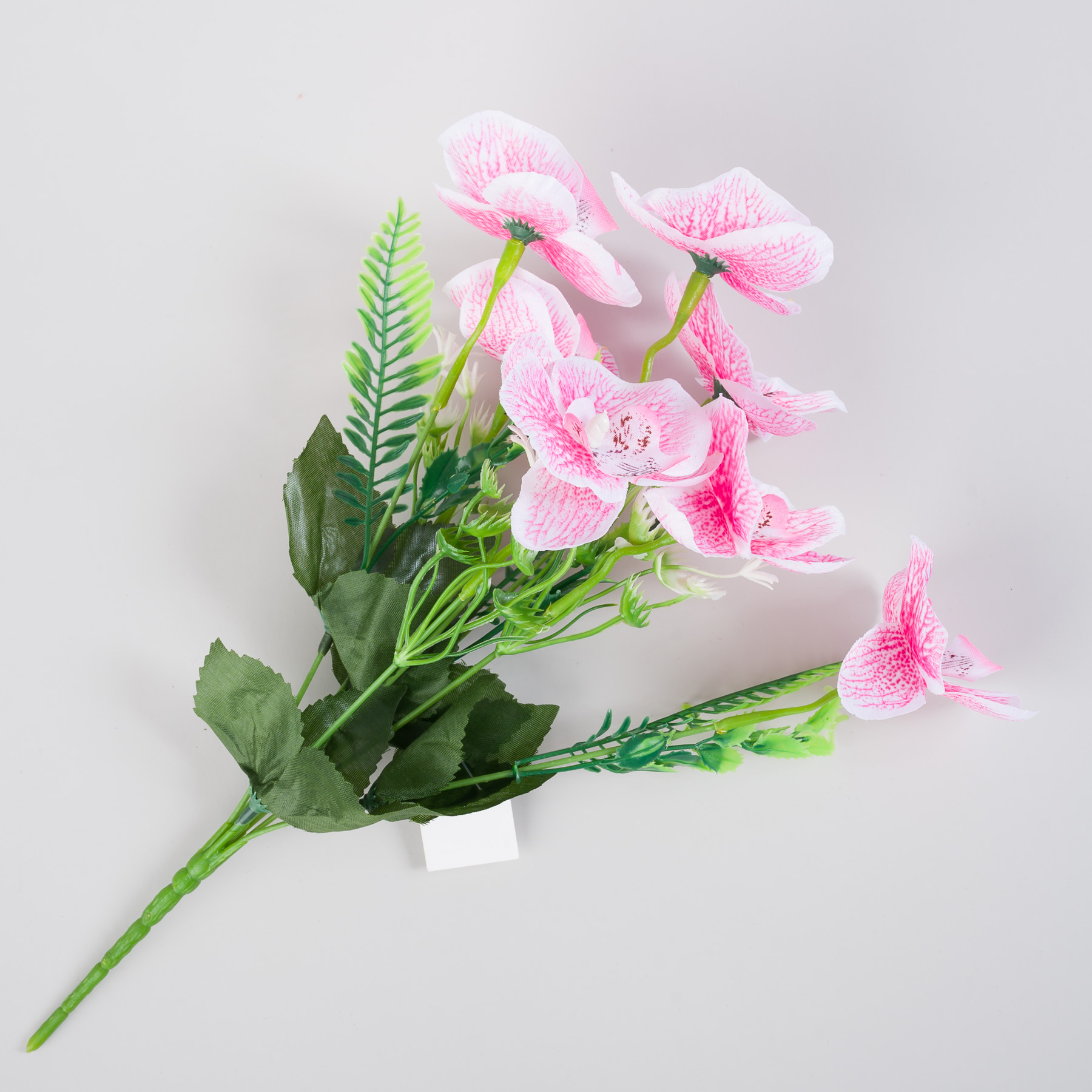 untitled-0034.jpg